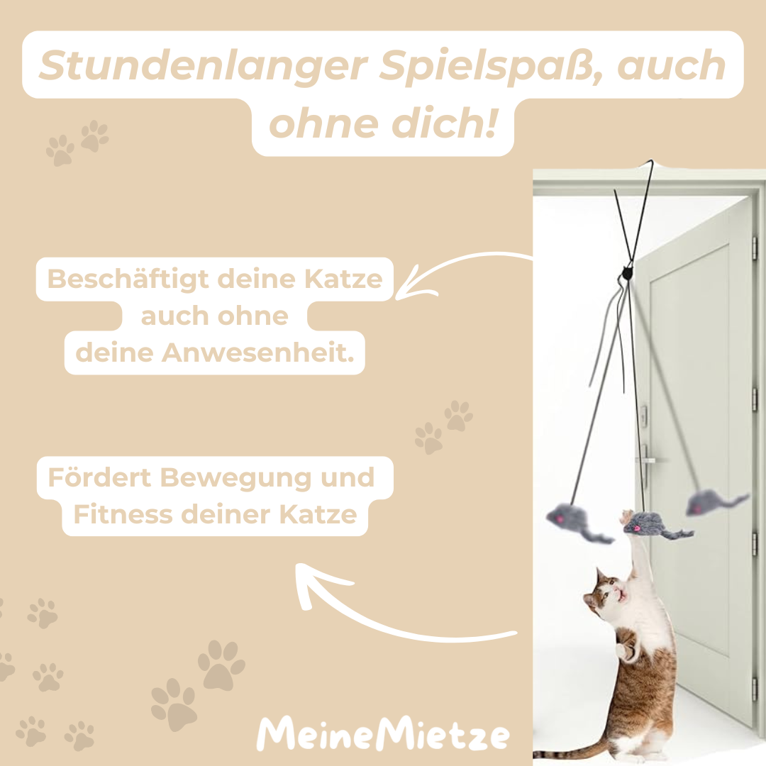 TürMaus - Der Katzenliebling