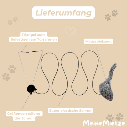 TürMaus - Der Katzenliebling