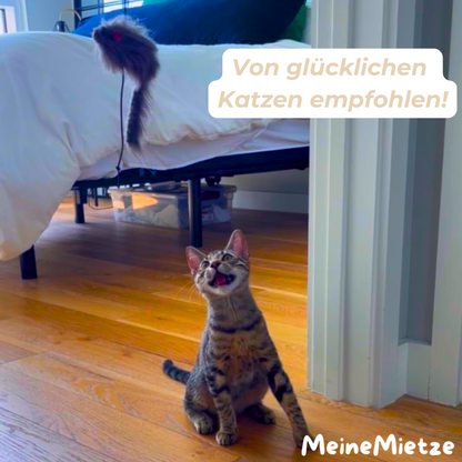 TürMaus - Der Katzenliebling