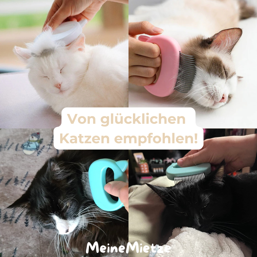 Katzenpflegebürste