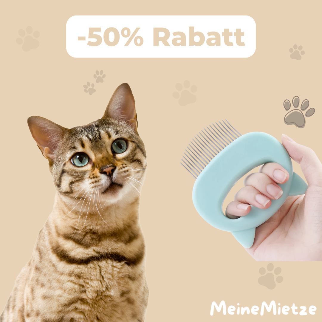 Katzenpflegebürste